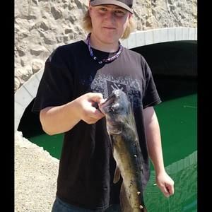 Meet your Posher, Brayden